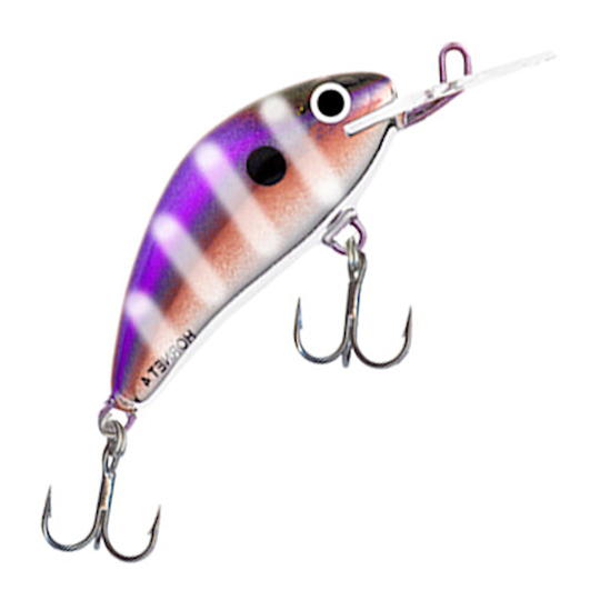 Salmo Hornet 4S vaappu (erikoisvärit)