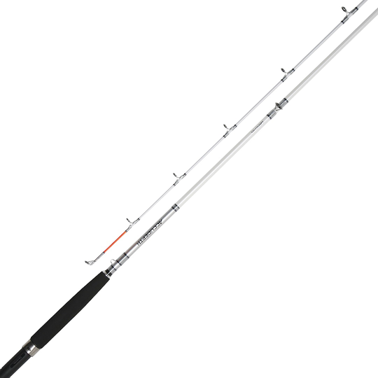 Daiwa Accudepth Trolling vetouisteluvapa