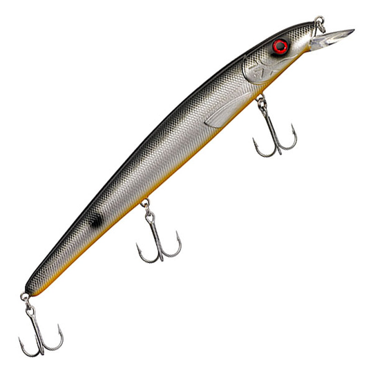 Maxximus Predator Conrad Original 22cm vaappu Dark Roach