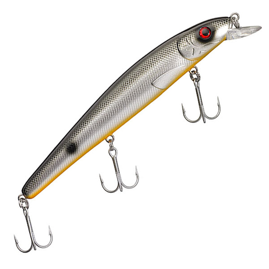 Maxximus Predator Conrad Original 16cm vaappu Dark Roach