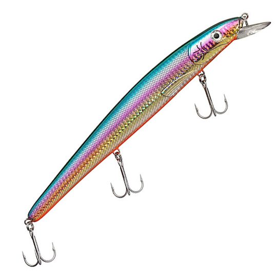 Maxximus Predator Conrad Original 22cm vaappu Rainbow